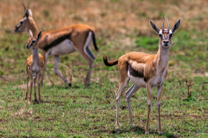 5 Days 4 Nights Northern Kenya
