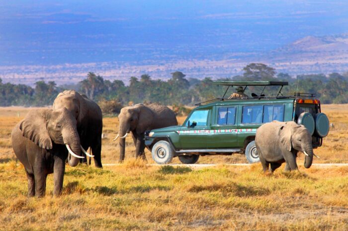 5 Days 4 Nights Lake Nakuru and Maasai Mara