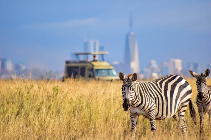 Nairobi Day Tour